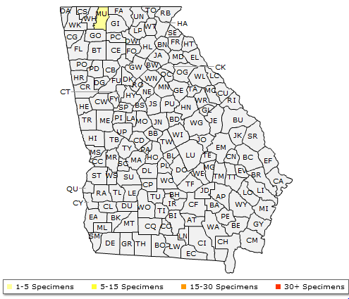 The range of Aesculus hippocastanum